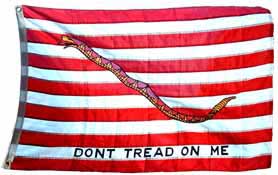 'Don't Tread on Me' flag.jpg
